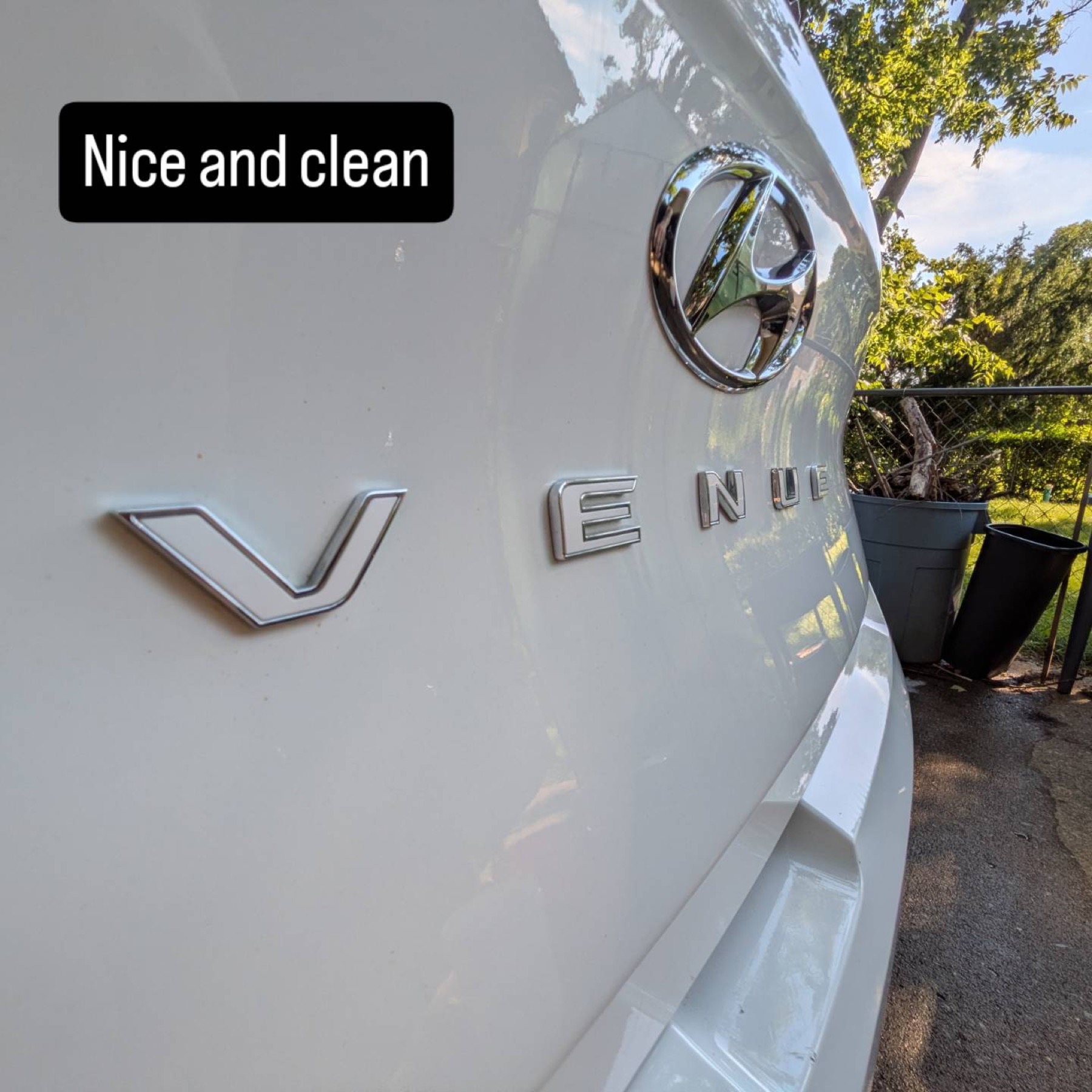 Clean Hyundai Venue rear hatch after Penapple Auto Detailing service